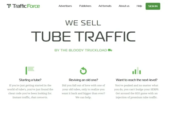 Traffic Force: Getting Attention for Your Website